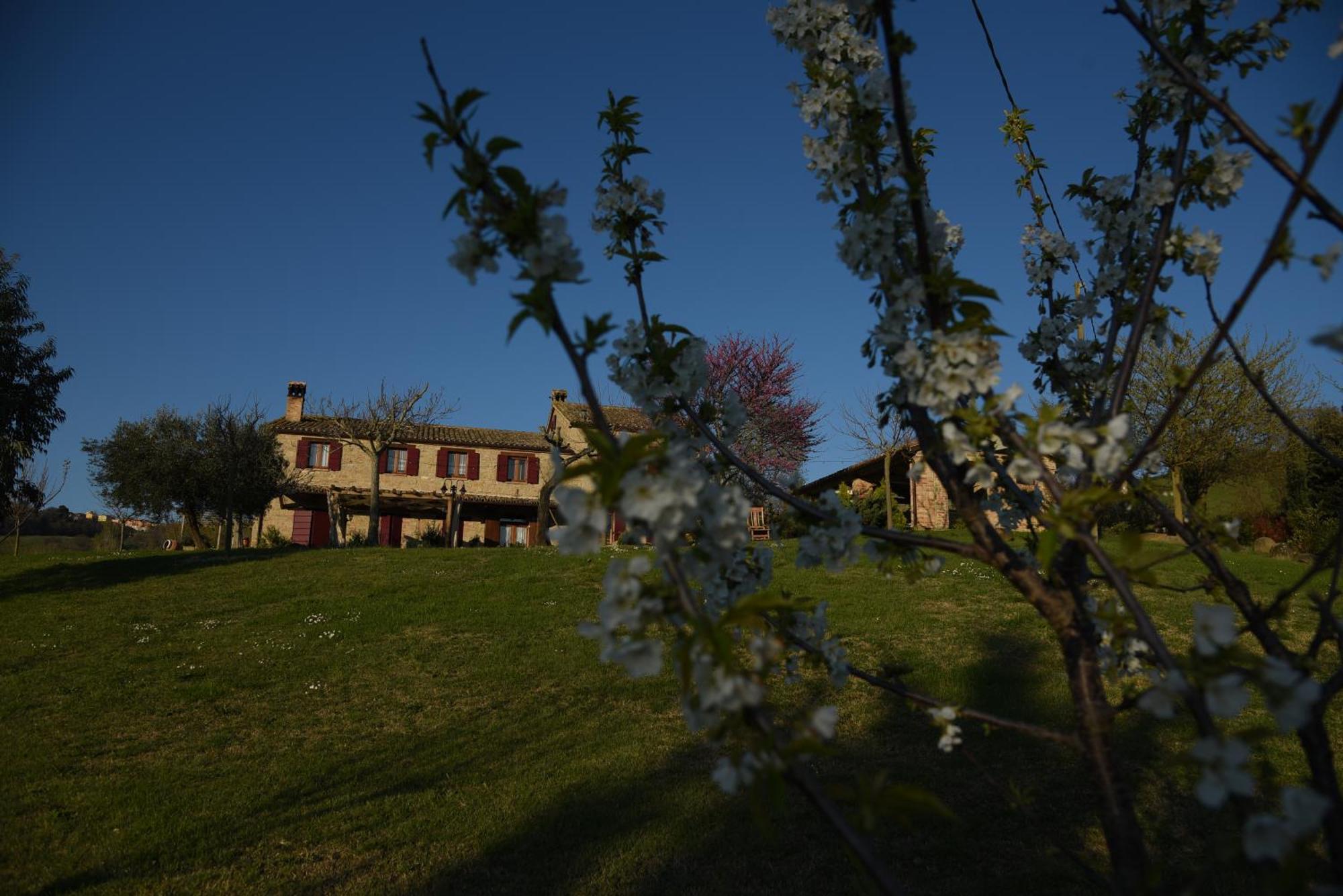 Bed and Breakfast Quelli Del Picchio Cupramontana Exterior foto